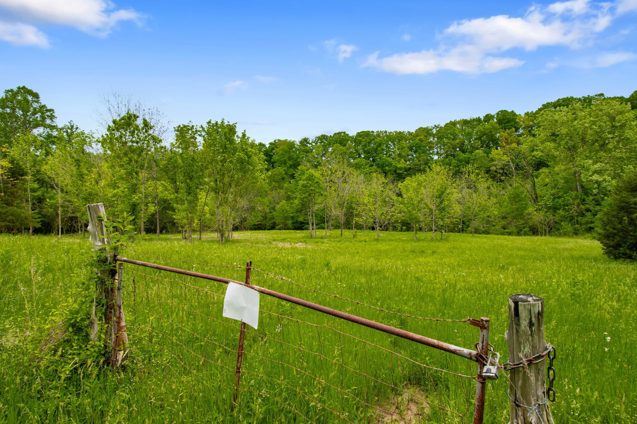 7749 Crow Cut Road Northwest Fairview, TN 37062 - Photo 24 of 27