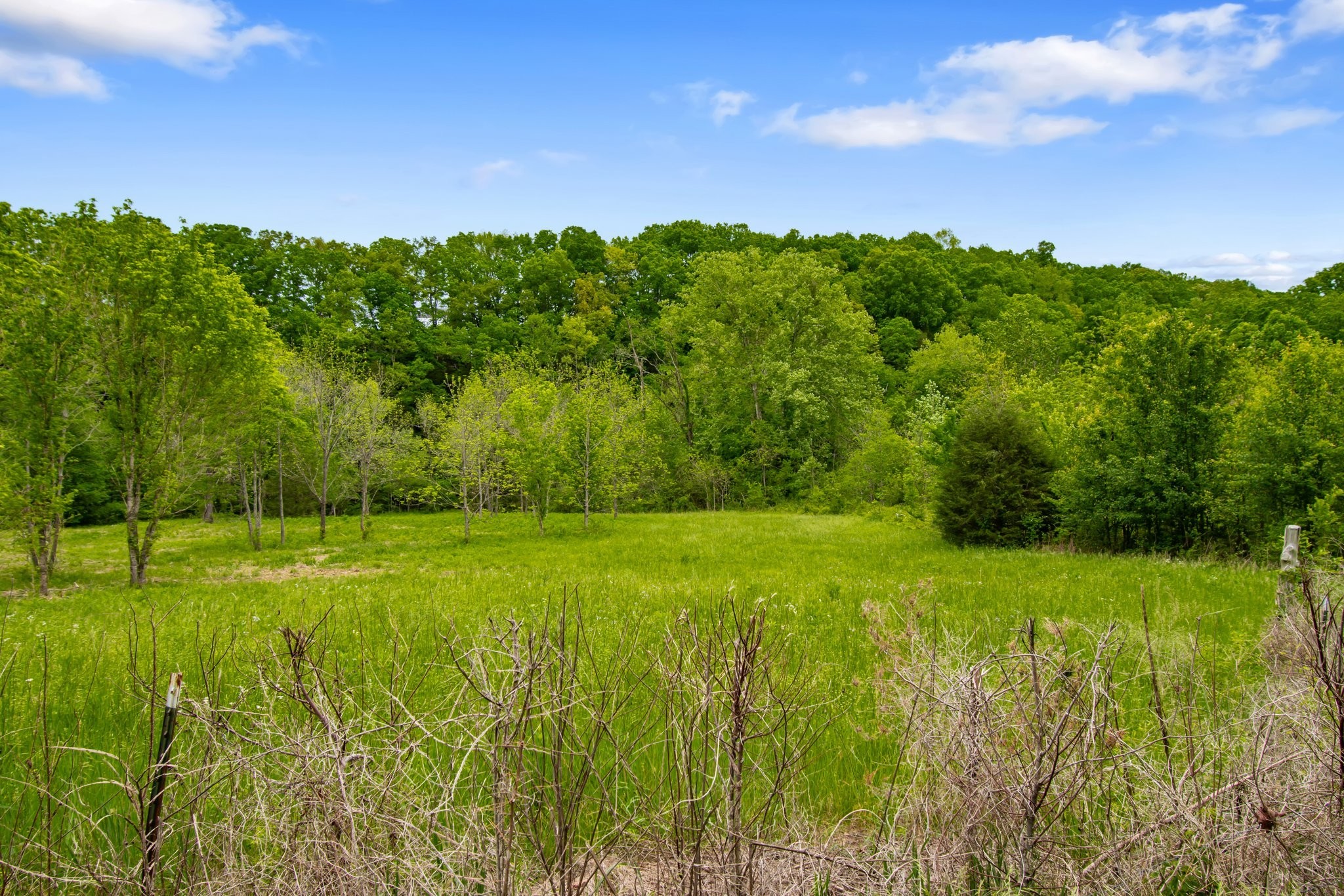 7749 Crow Cut Road Northwest Fairview, TN 37062 - Photo 25 of 27