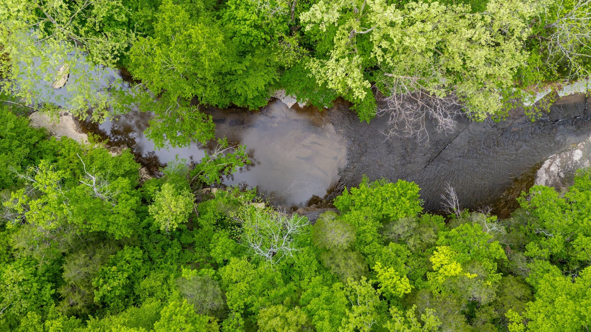 7749 Crow Cut Road Northwest Fairview, TN 37062 - Photo 4 of 27