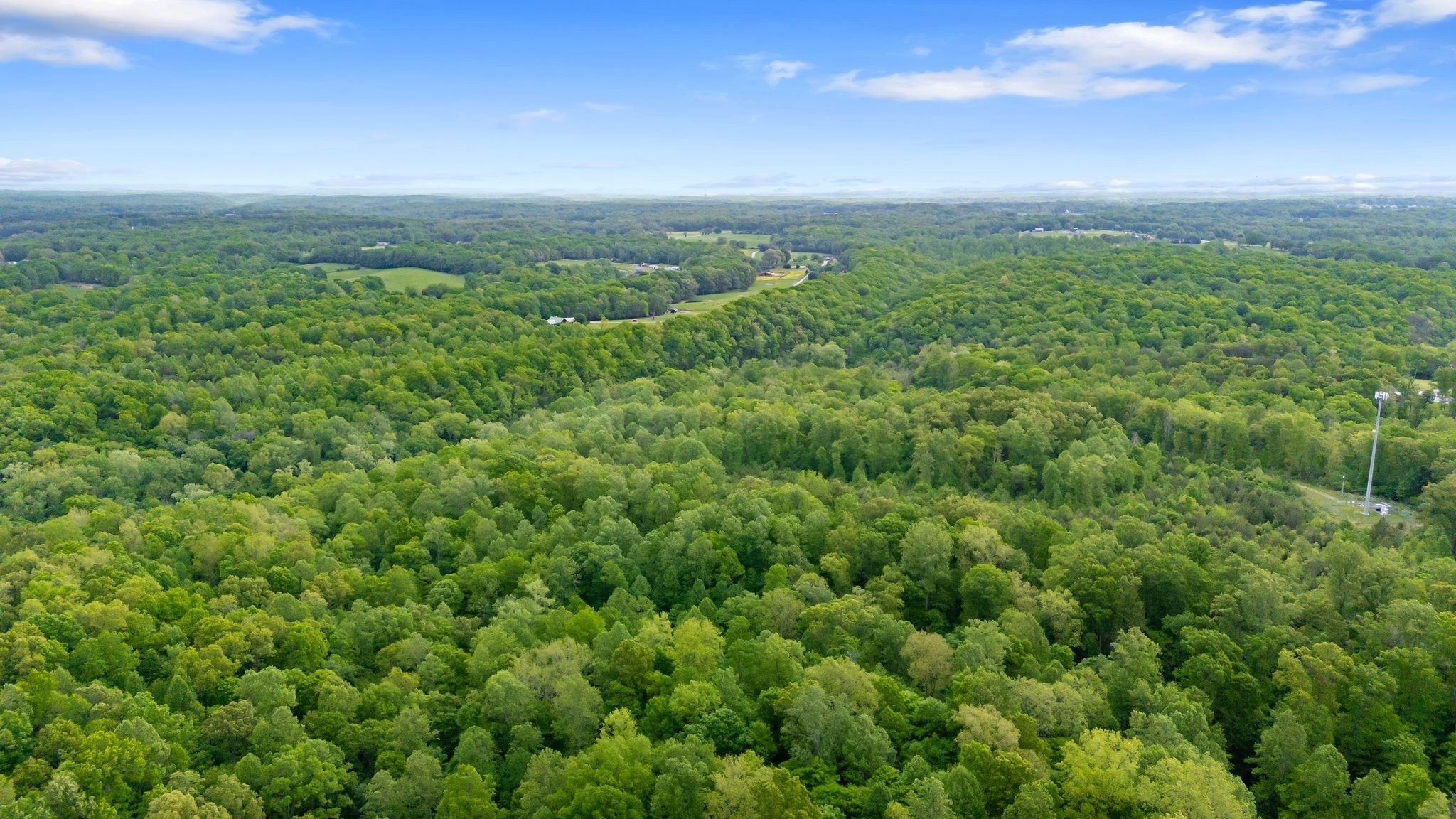 7749 Crow Cut Road Northwest Fairview, TN 37062 - Photo 9 of 27