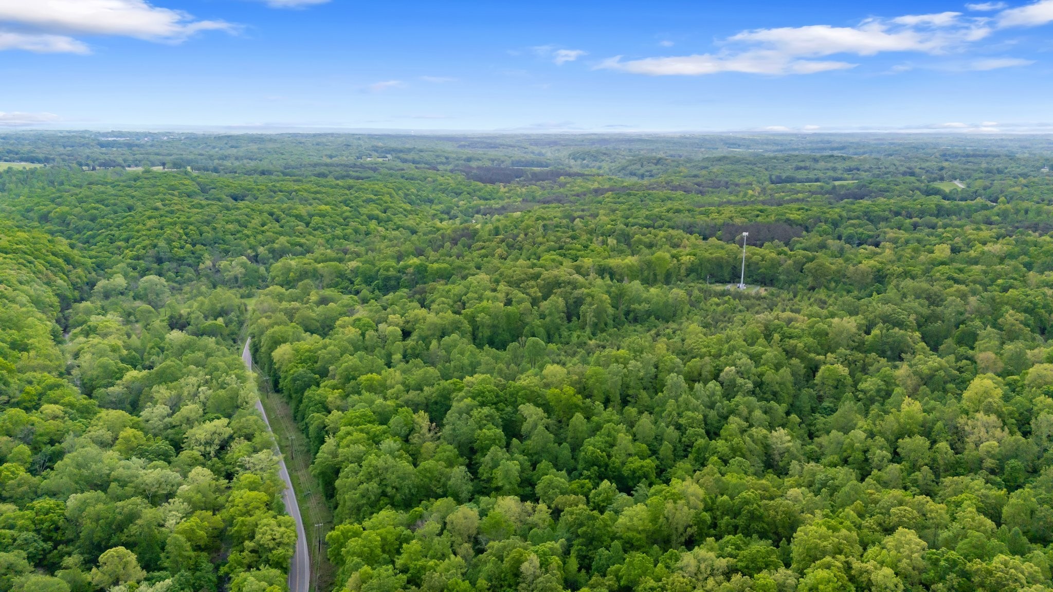 7749 Crow Cut Road Northwest Fairview, TN 37062 - Photo 10 of 27