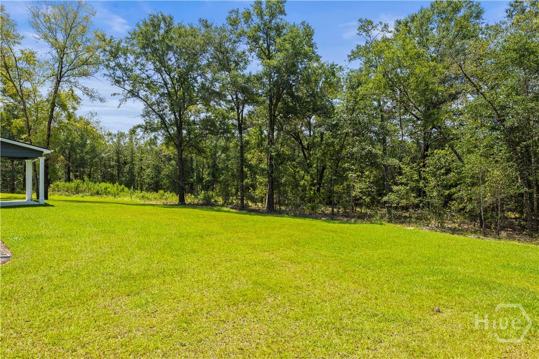 134 Watson Mill Road Guyton, GA 31312 - Photo 54 of 54