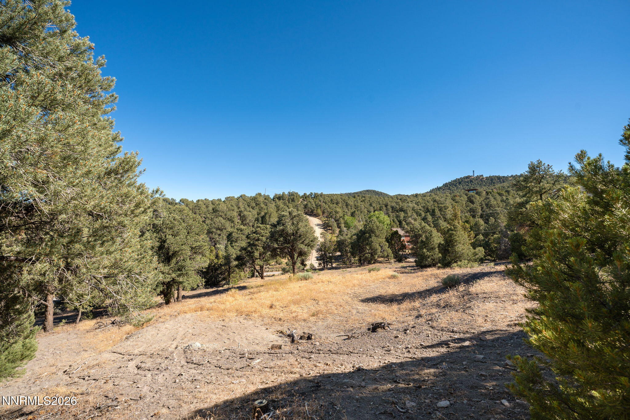 21630 Sazarac Road Reno, NV 89521 - Photo 3 of 21 5-web-or-mls-A7402381
