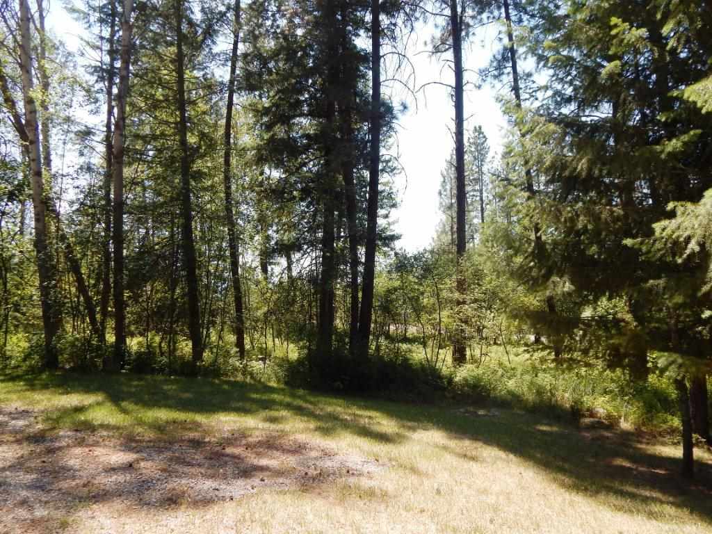 729 Arden Butte Road Colville, WA 99114 - Photo 3 of 15