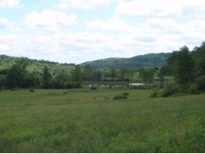 360 Ticknor Brook Road Whitney Point, NY 13862 - Photo 3 of 5