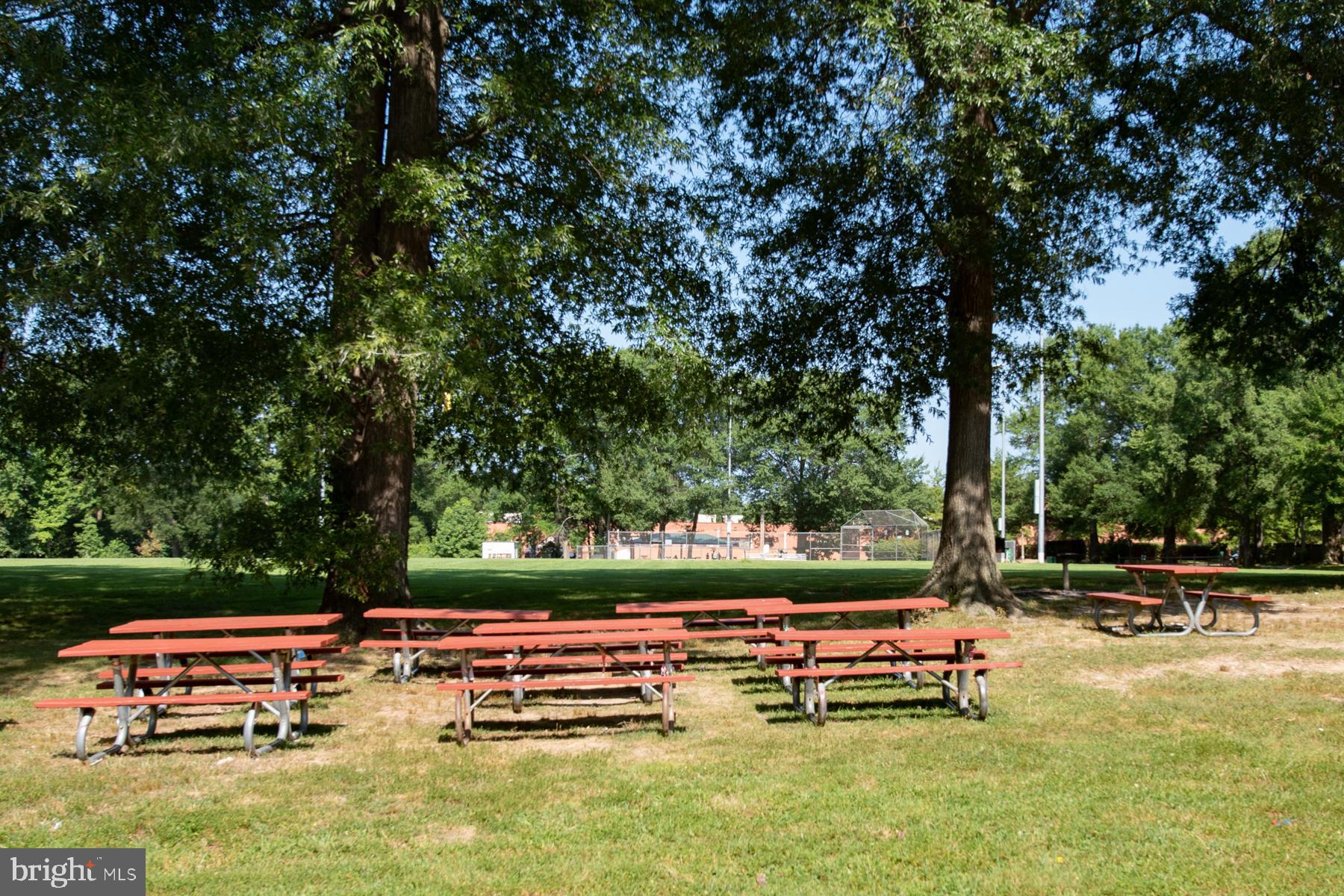8026 Fordson Road Alexandria, VA 22306 - Photo 59 of 67 Beautiful park