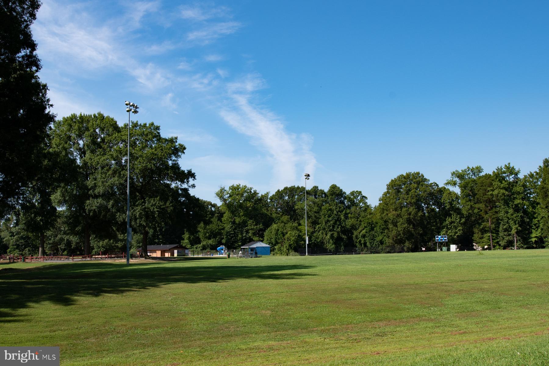 8026 Fordson Road Alexandria, VA 22306 - Photo 61 of 67 Lots of space to run & play