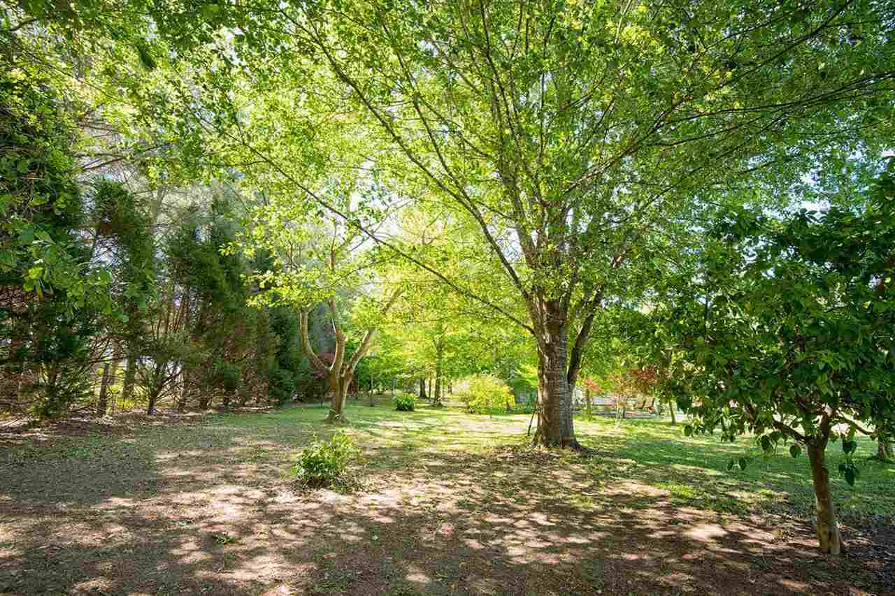 14126 County Road 55 Foley, AL 36535 - Photo 40 of 41
