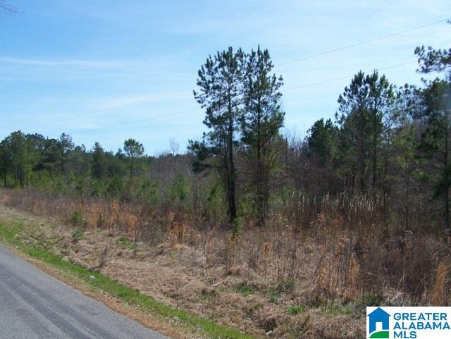 0 Mitchellville Road, Unit ACREAGE Lincoln, AL 35096 - Photo 5 of 19