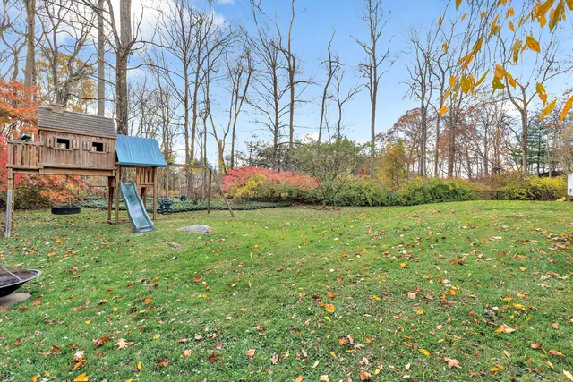 a view of a yard with plants and trees