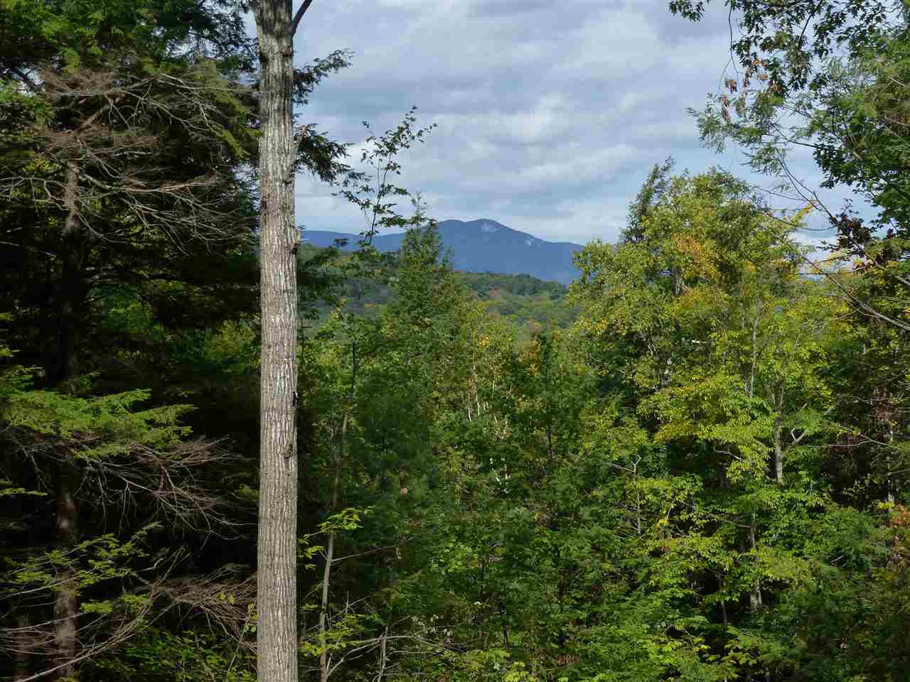 15 R Buzzell Ridge Road, Unit 17 Sandwich, NH 03227 - Photo 1 of 40 Gallery Image 1