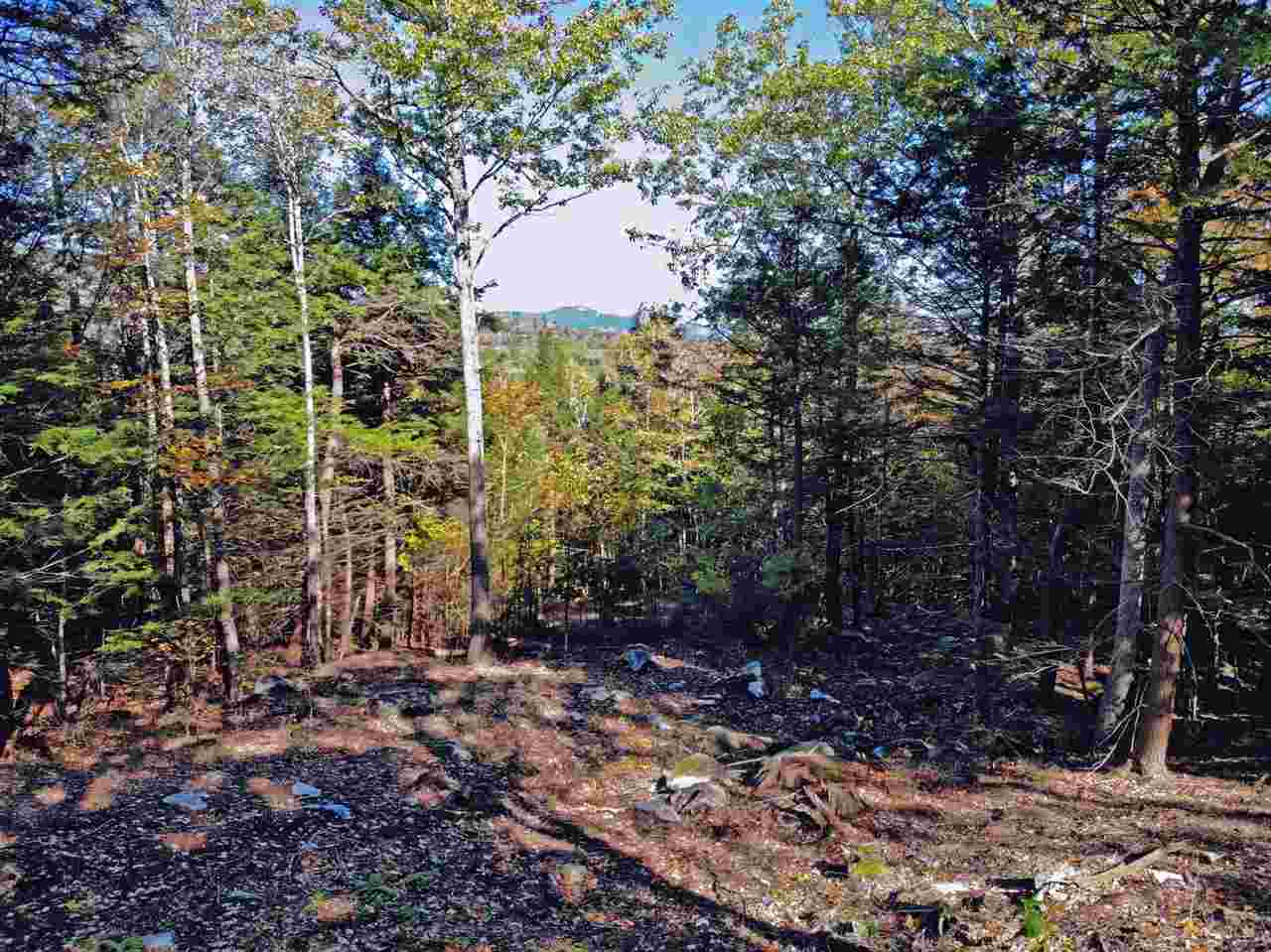 15 R Buzzell Ridge Road, Unit 17 Sandwich, NH 03227 - Photo 2 of 40 Gallery Image 2