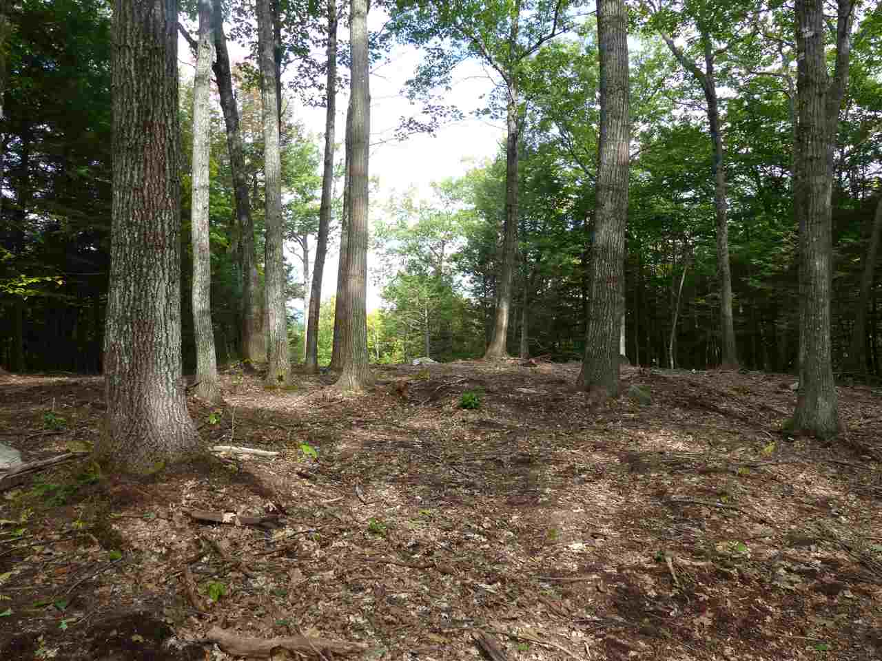 15 R Buzzell Ridge Road, Unit 17 Sandwich, NH 03227 - Photo 3 of 40 Gallery Image 3