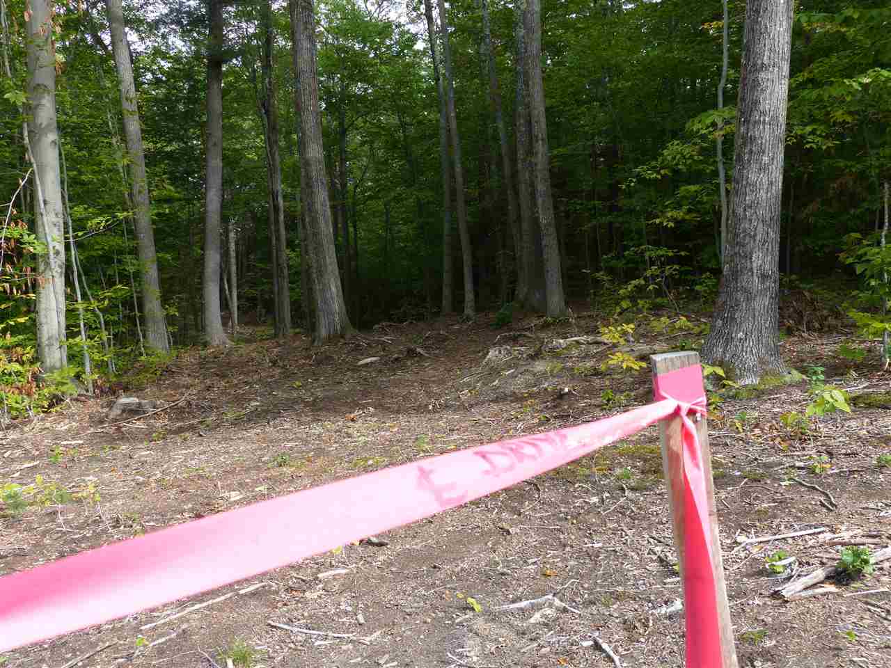 15 R Buzzell Ridge Road, Unit 17 Sandwich, NH 03227 - Photo 4 of 40 Gallery Image 4