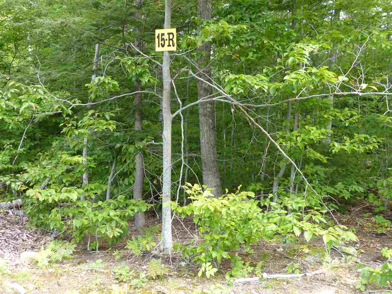 15 R Buzzell Ridge Road, Unit 17 Sandwich, NH 03227 - Photo 5 of 40 Gallery Image 5