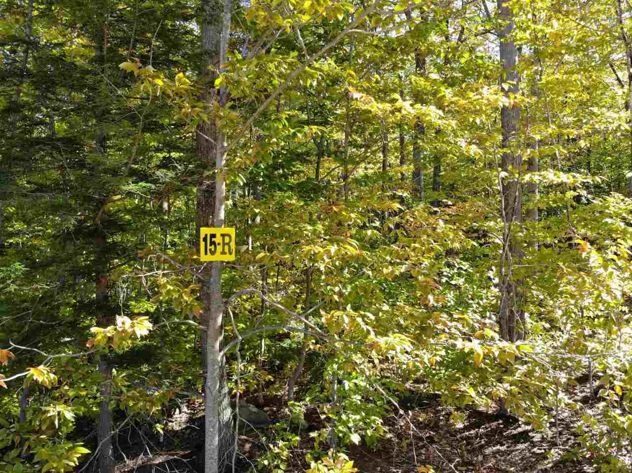 15 R Buzzell Ridge Road, Unit 17 Sandwich, NH 03227 - Photo 6 of 40 Gallery Image 6