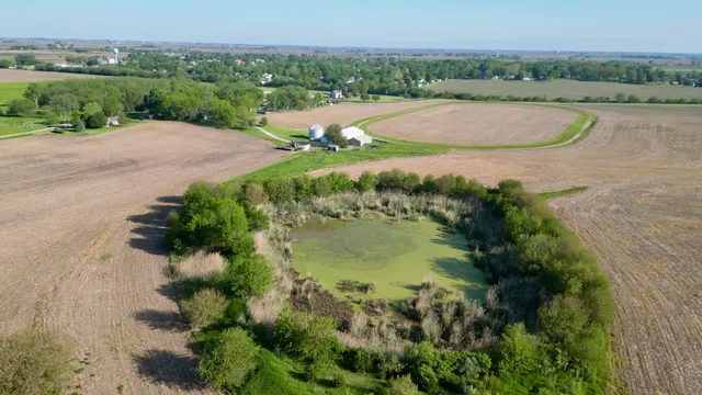 a view of a park with tree s