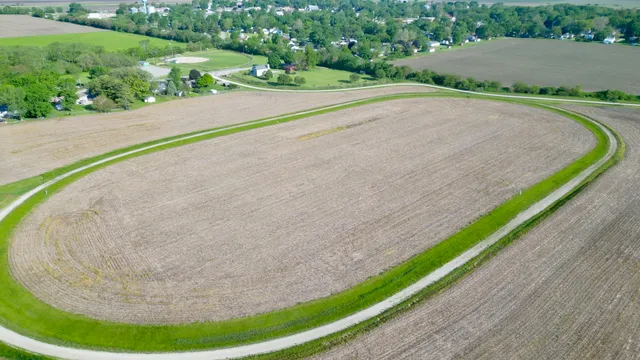 a view of a garden with a tree