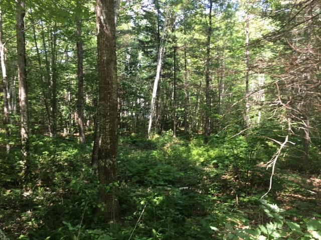 Lot 9 North Ridge Road Lincolnville, ME 04849 - Photo 6 of 9 Another view from the road, you can...