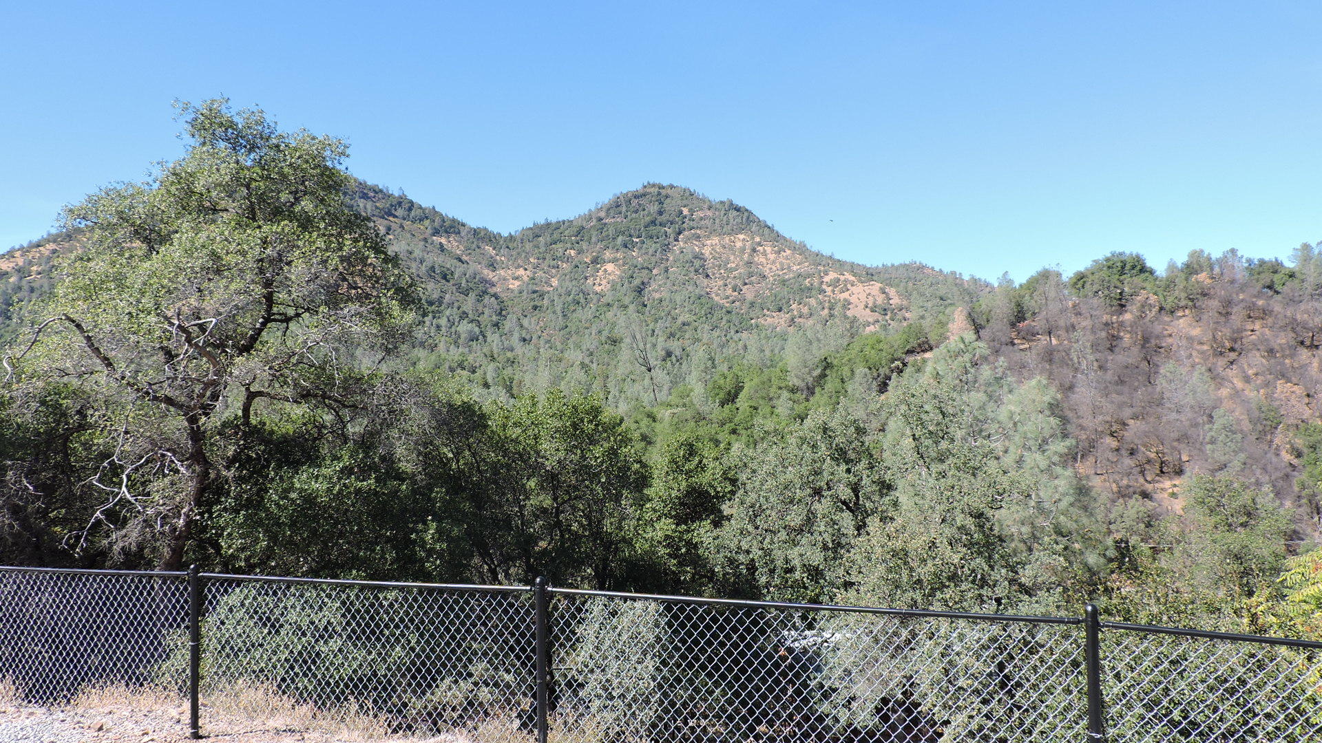 22122 Backbone Road Redding, CA 96003 - Photo 18 of 26 Backbone_019