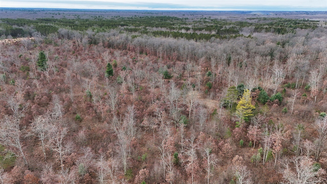 3728 North Custer Road Fountain, MI 49410 - Photo 11 of 31