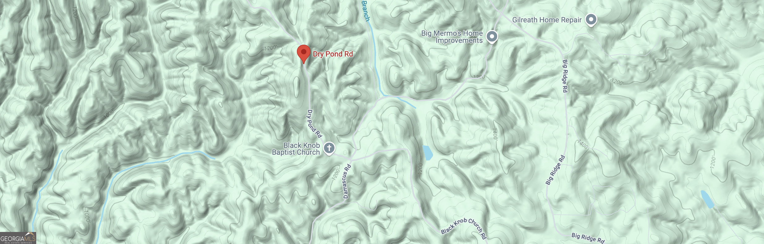 1-east Dry Pond Road, Unit LOT #1 EAST Ranger, GA 30734 - Photo 11 of 11 a close up of a plant