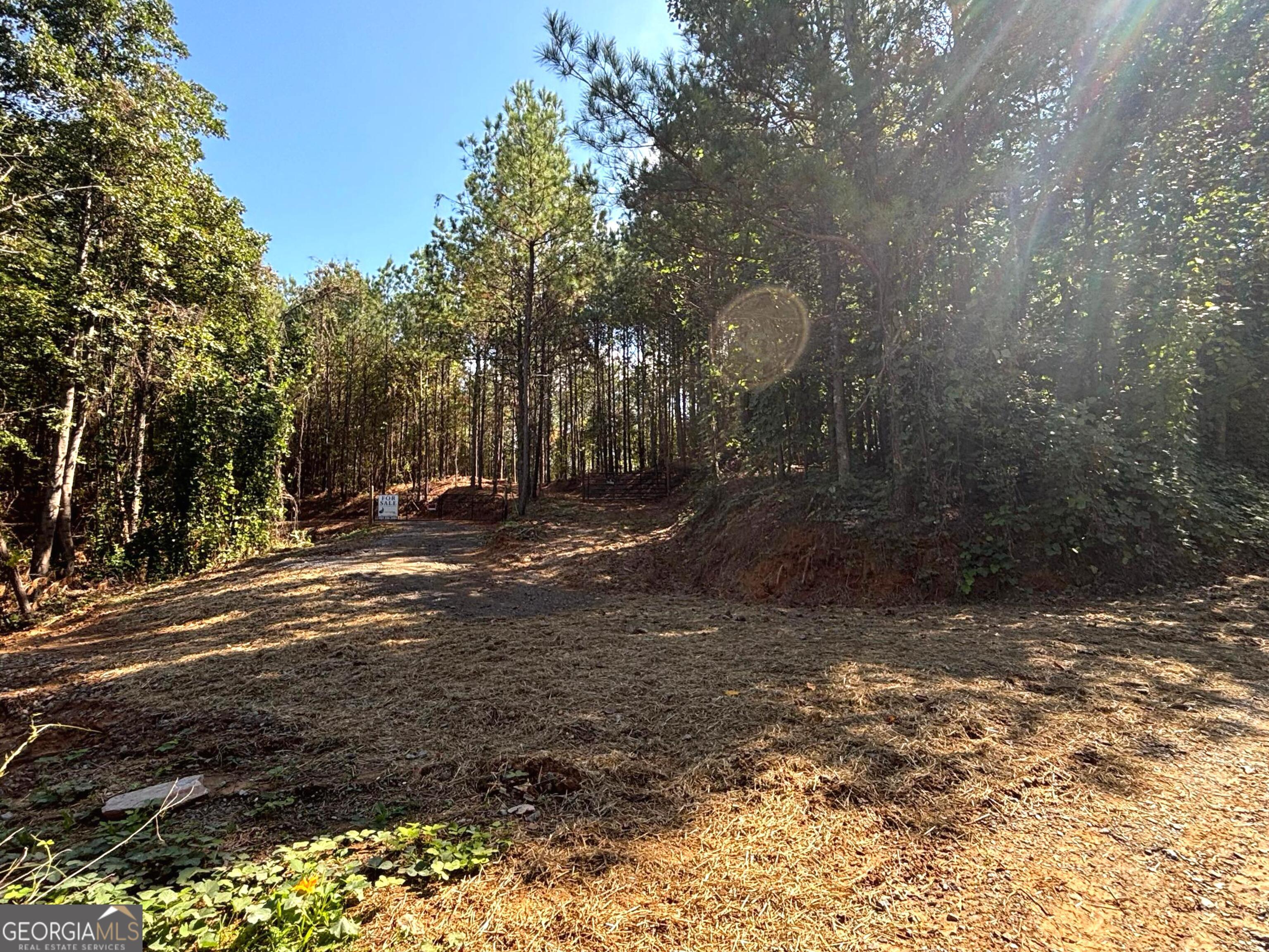 1-east Dry Pond Road, Unit LOT #1 EAST Ranger, GA 30734 - Photo 3 of 11 a view of a yard with trees