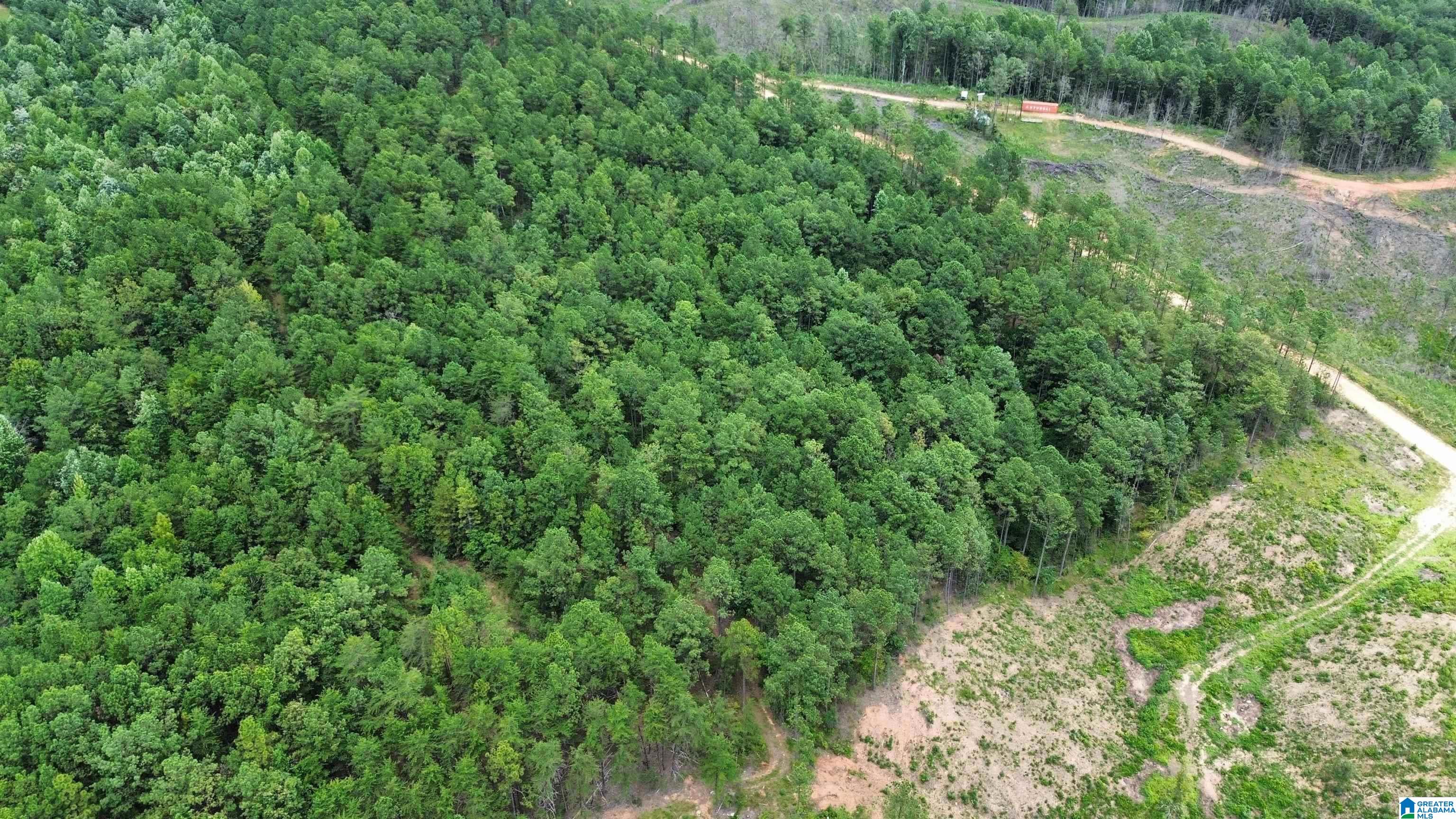 204 County Road 485 Clanton, AL 35046 - Photo 4 of 5