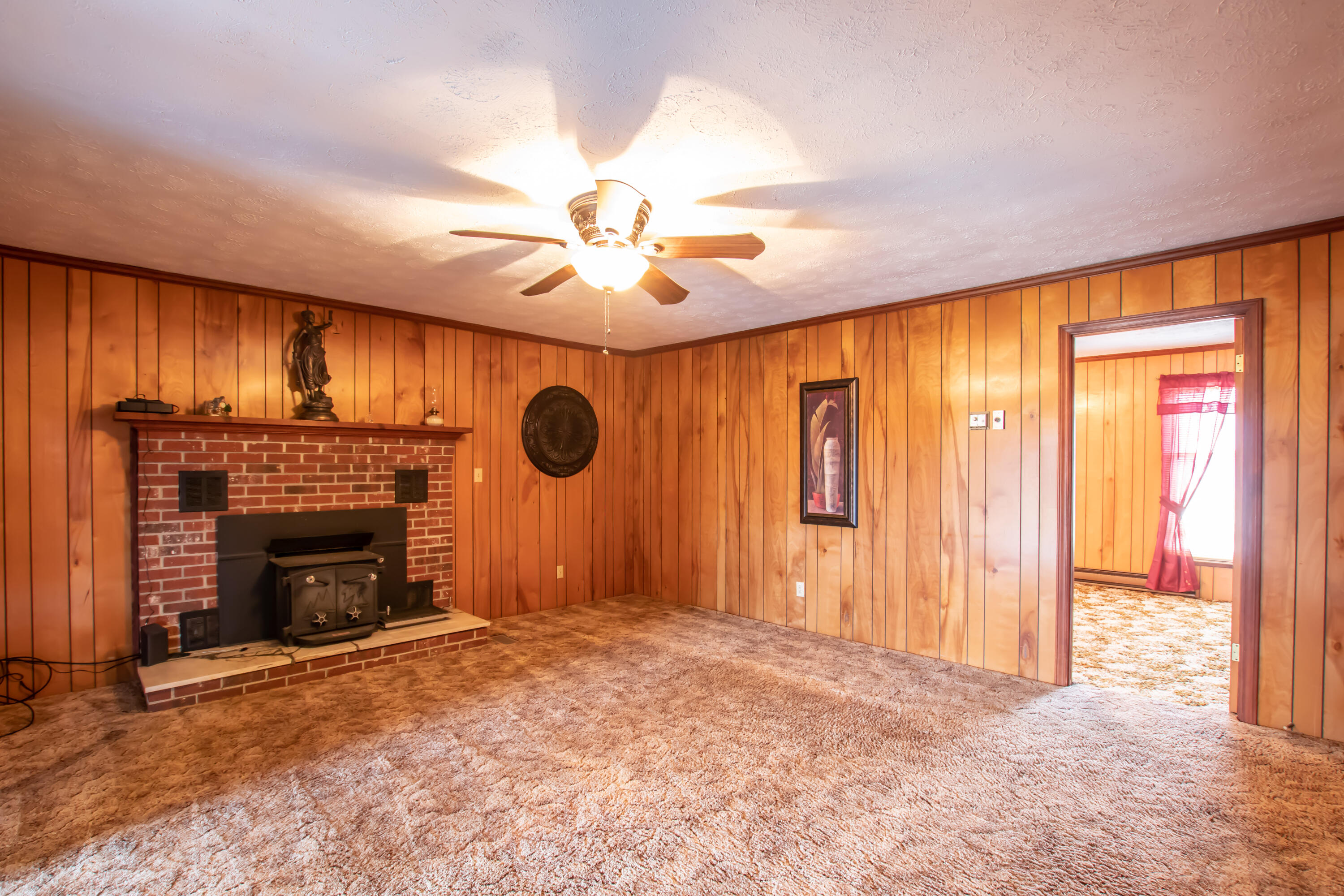 18481 Cleveland Road Abingdon, VA 24211 - Photo 13 of 32 Wood Burning Stove