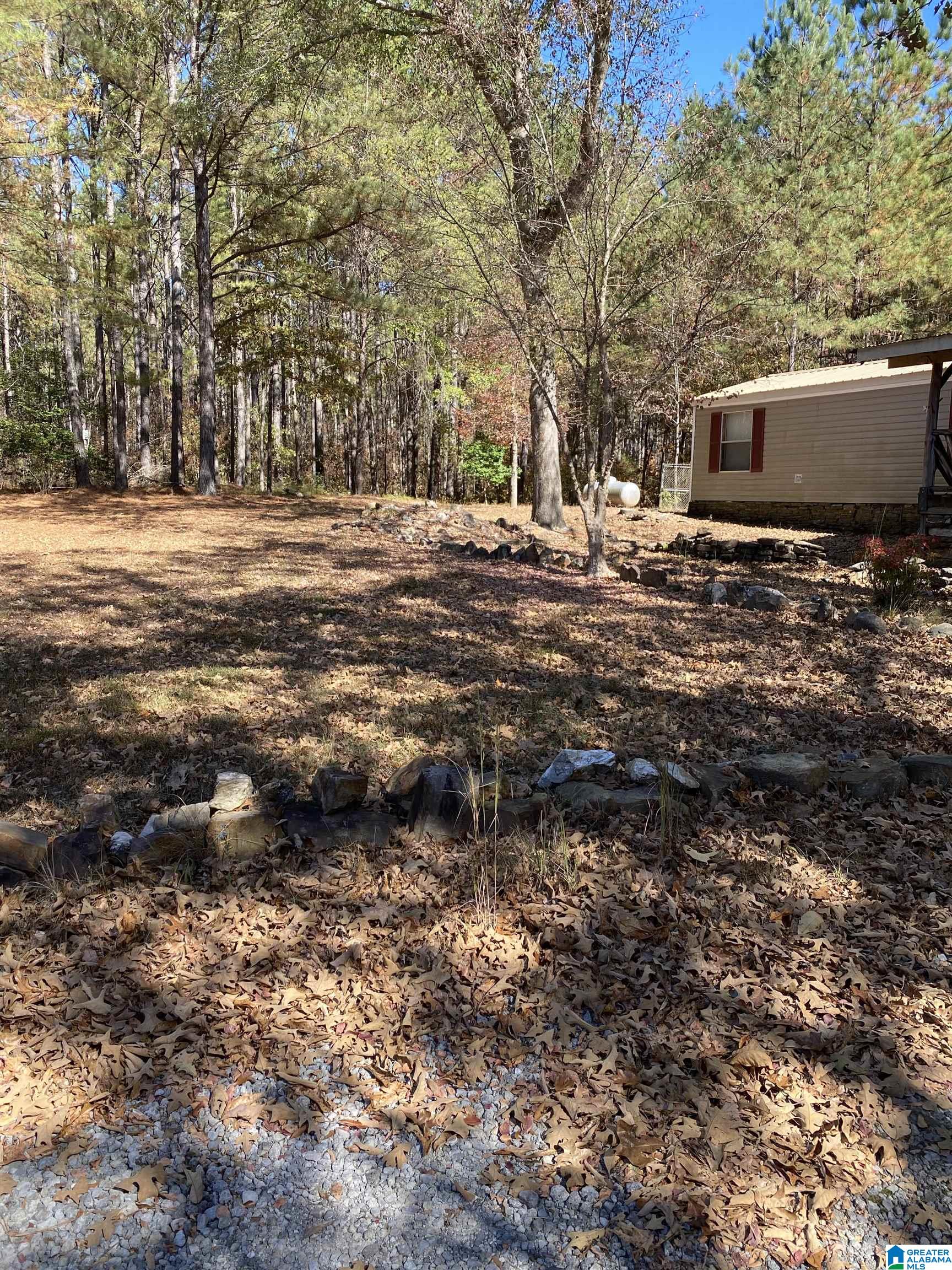 7512 Baby Doe Road Brookwood, AL 35444 - Photo 12 of 29