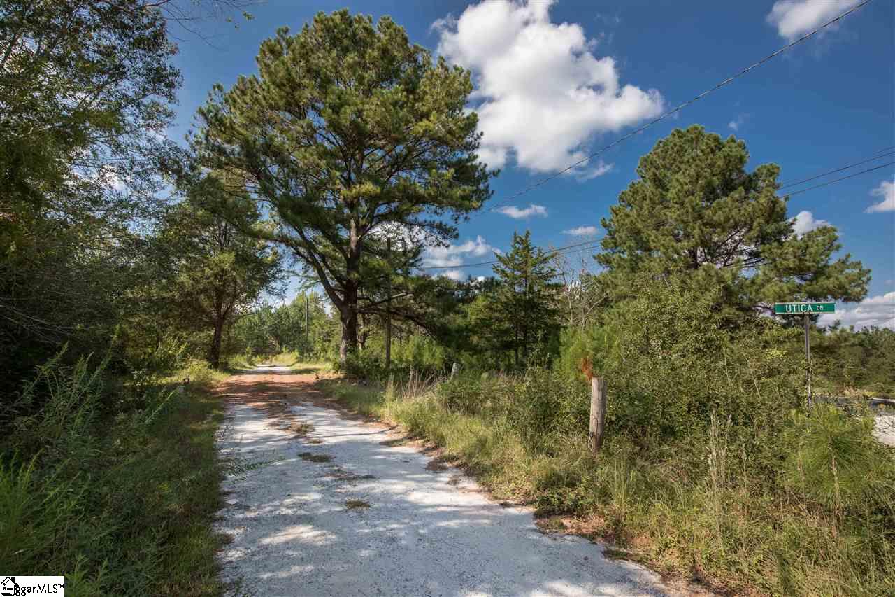 0 Cheeks Circle Gray Court, SC 29645 - Photo 3 of 10 Gallery Image 3