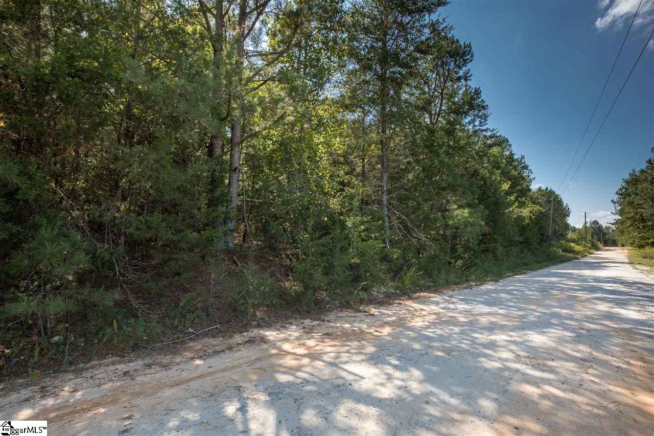 0 Cheeks Circle Gray Court, SC 29645 - Photo 10 of 10 Gallery Image 10