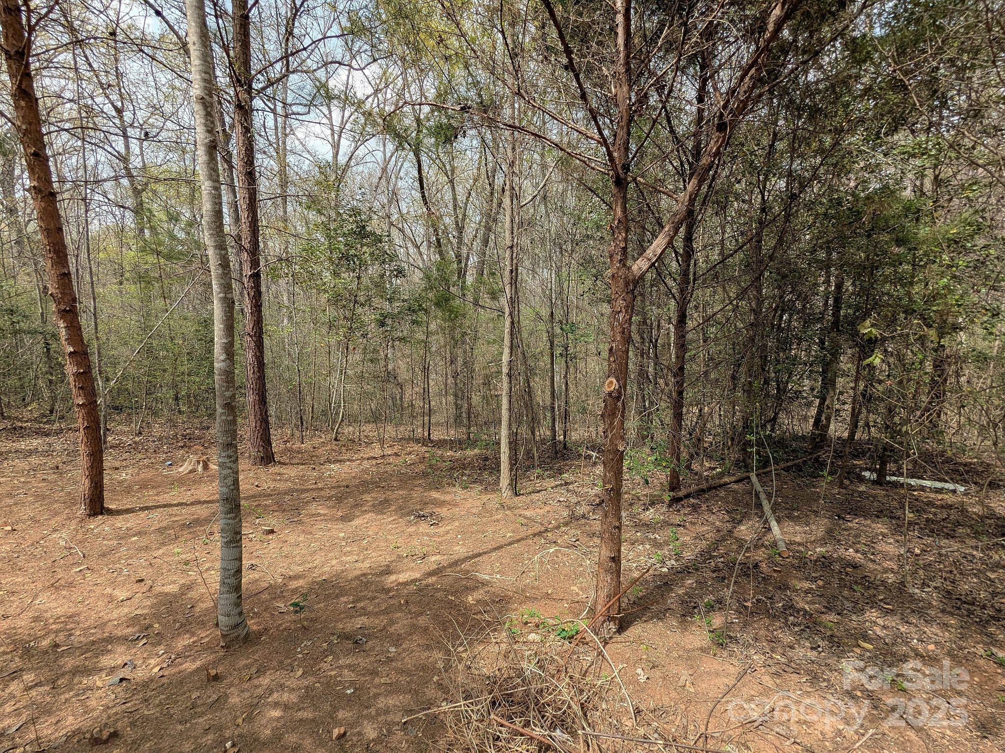 104 Little River Road Fort Mill, SC 29707 - Photo 19 of 21 a view of a forest filled with trees