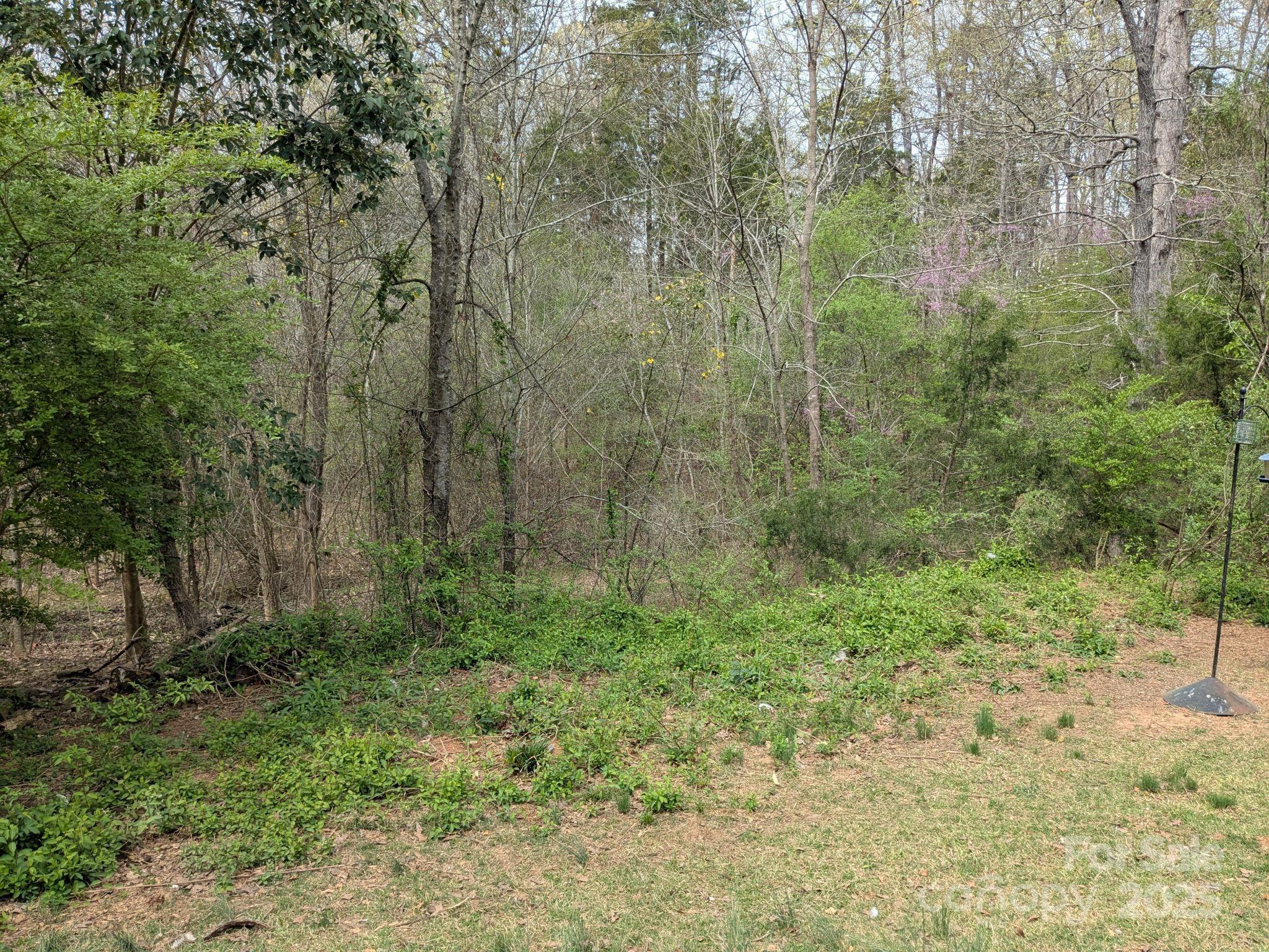 104 Little River Road Fort Mill, SC 29707 - Photo 20 of 21 a view of a forest with trees in the background
