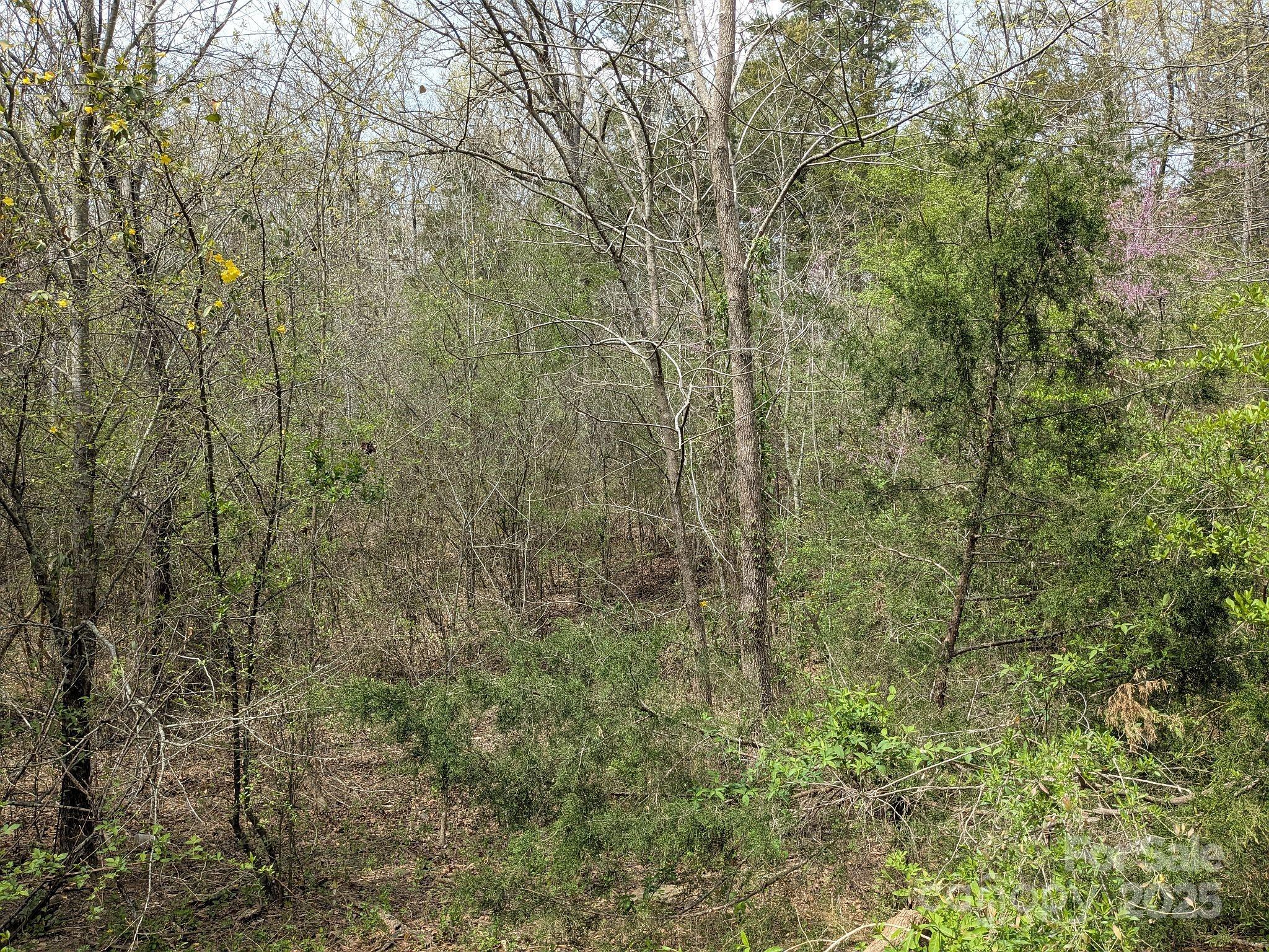 104 Little River Road Fort Mill, SC 29707 - Photo 21 of 21 a view of a yard with a tree