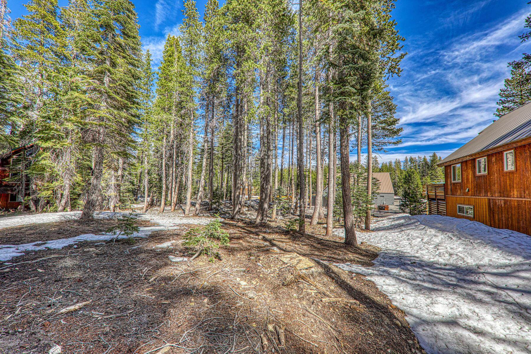 6194 Serene Road Soda Springs, CA 95724 - Photo 3 of 17 a view of backyard with large trees and wooden fence