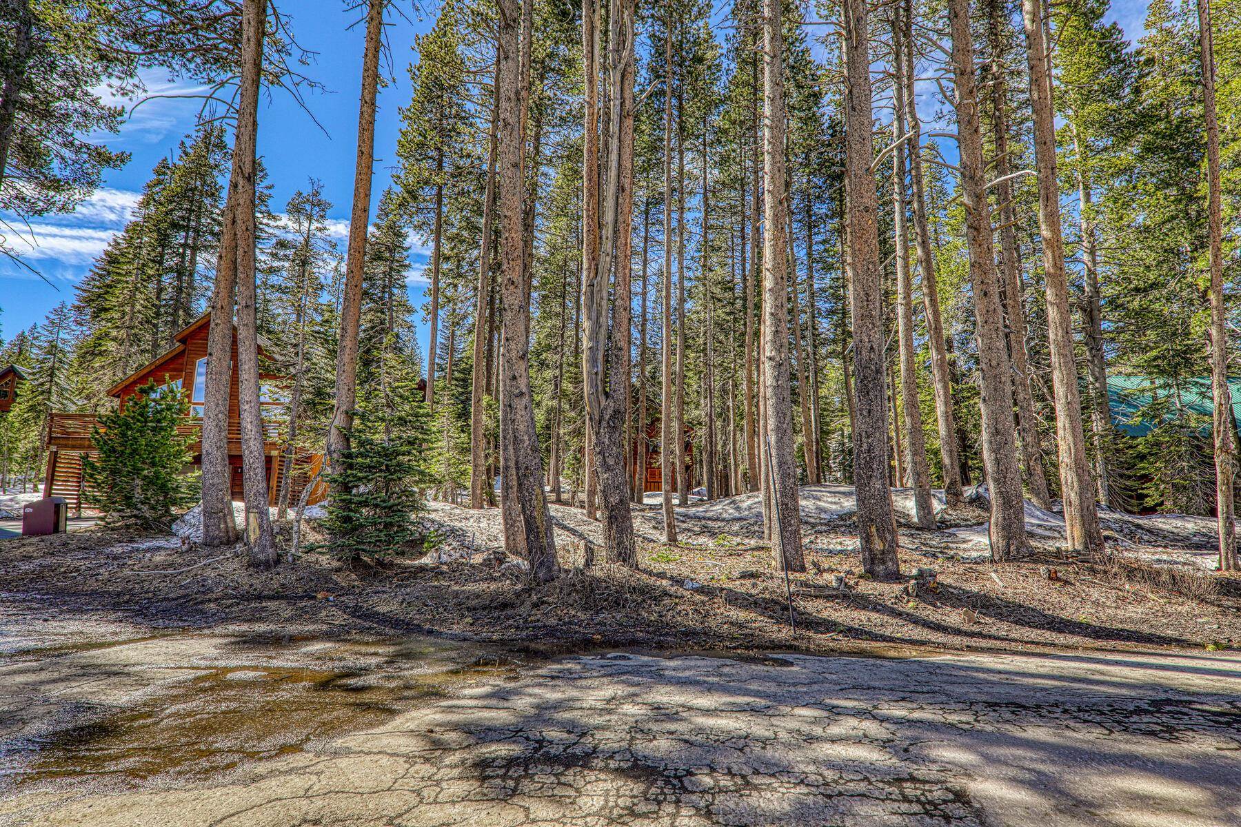 6194 Serene Road Soda Springs, CA 95724 - Photo 8 of 17 a view of a park with large trees