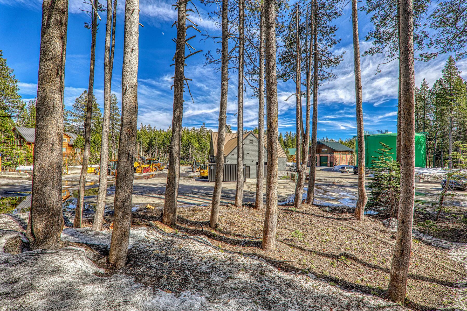 6194 Serene Road Soda Springs, CA 95724 - Photo 9 of 17 a view of tall trees with a backyard