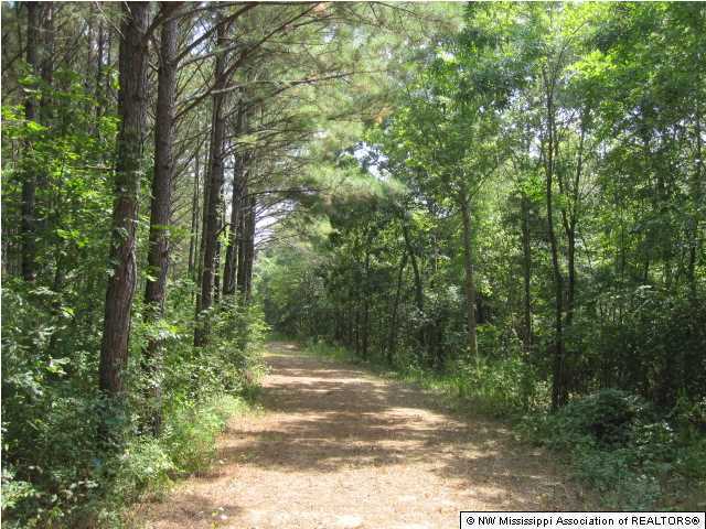 128 Lebanon Road Potts Camp, MS 38659 - Photo 1 of 24 Primary Photo