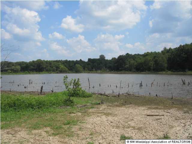 128 Lebanon Road Potts Camp, MS 38659 - Photo 11 of 24 Additional Photo