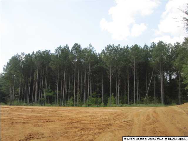 128 Lebanon Road Potts Camp, MS 38659 - Photo 24 of 24 Additional Photo