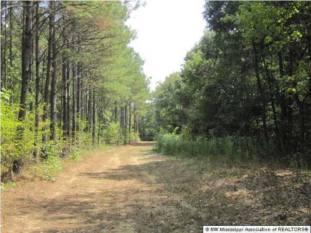 128 Lebanon Road Potts Camp, MS 38659 - Photo 4 of 24 Additional Photo