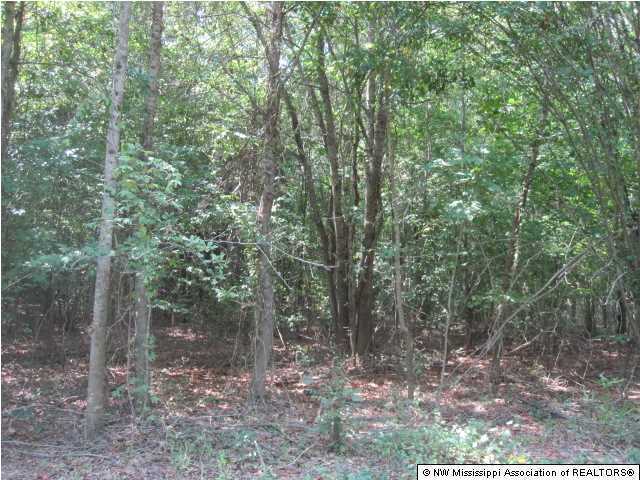 128 Lebanon Road Potts Camp, MS 38659 - Photo 9 of 24 Additional Photo