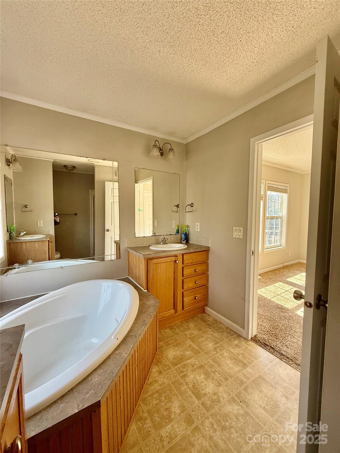 191 Ashford Drive Olin, NC 28660 - Photo 17 of 48 a spacious bathroom with a tub sink and mirror