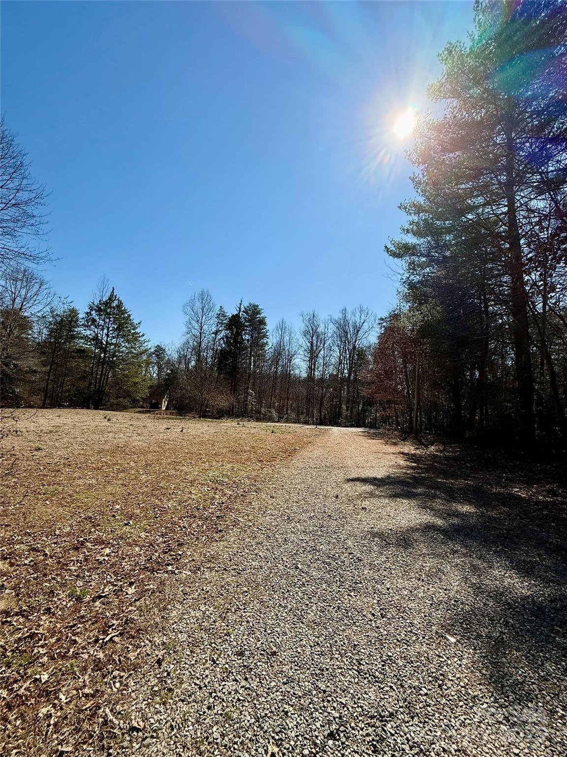 191 Ashford Drive Olin, NC 28660 - Photo 38 of 48 a view of dirt yard