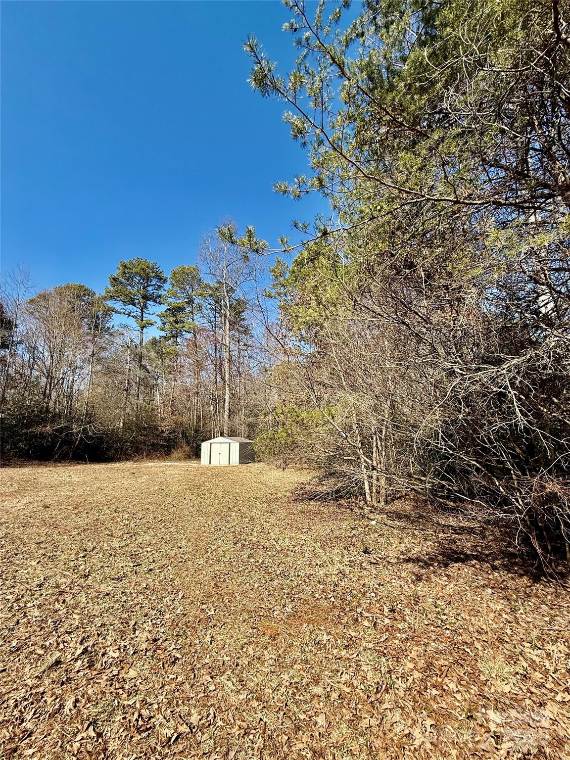 191 Ashford Drive Olin, NC 28660 - Photo 42 of 48 a view of a yard with a tree