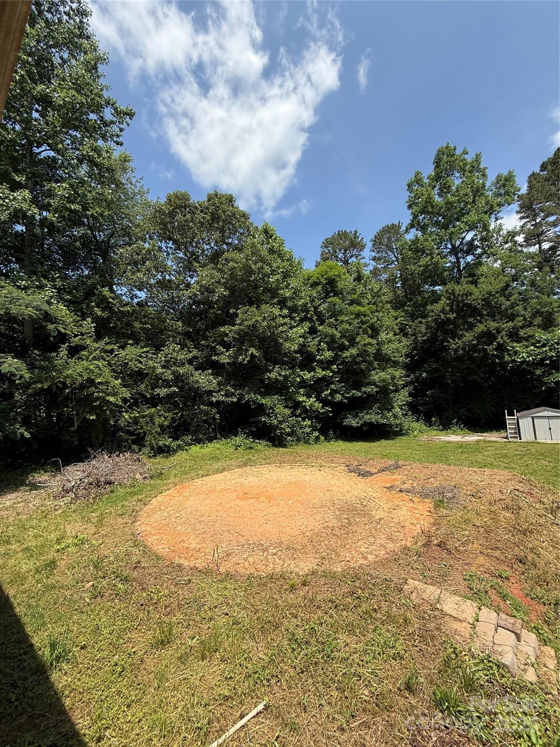 191 Ashford Drive Olin, NC 28660 - Photo 45 of 48 a view of a yard