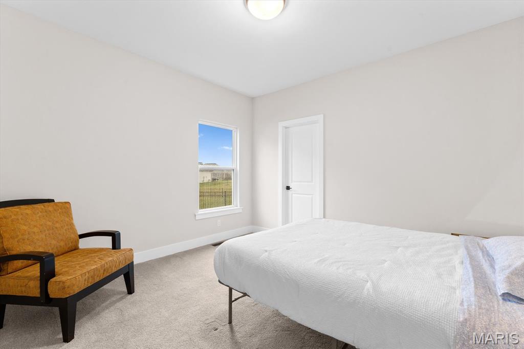 621 Tea Olive Boulevard O'Fallon, IL 62269 - Photo 8 of 40