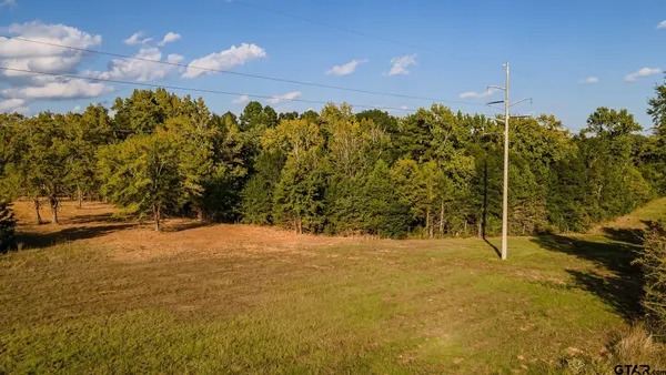 a view of empty space with trees