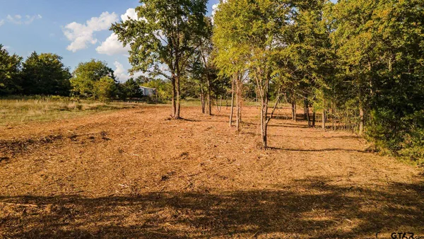 a view of a large yard with a tree